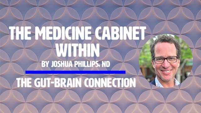 You are currently viewing The Medicine Cabinet Within: The Gut-Brain Connection