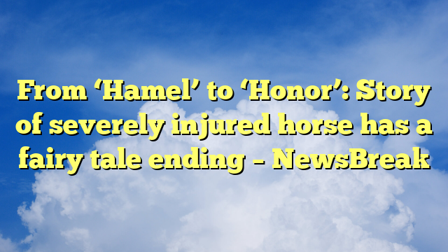You are currently viewing From ‘Hamel’ to ‘Honor’: Story of severely injured horse has a fairy tale ending – NewsBreak
