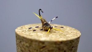 Read more about the article Inverted Yellow Sally Nymph Fly Tying Video Instructional