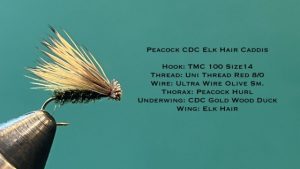 Read more about the article Peacock CDC Elk Hair Caddis Fly Pattern