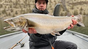 Read more about the article Potential record bull trout caught and released in Lake Billy Chinook (photo available)