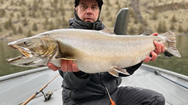 You are currently viewing Potential record bull trout caught and released in Lake Billy Chinook (photo available)