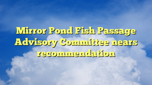 Read more about the article Mirror Pond Fish Passage Advisory Committee nears recommendation