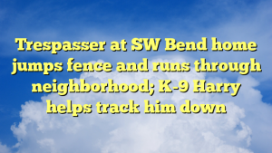 Read more about the article Trespasser at SW Bend home jumps fence and runs through neighborhood; K-9 Harry helps track him down
