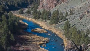 Read more about the article Oregon DEQ Aquatic Life Rule making and the Deschutes