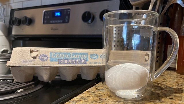 You are currently viewing Why the Egg Float Test Doesn’t Always Work