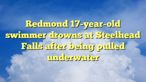 Read more about the article Redmond 17-year-old swimmer drowns at Steelhead Falls after being pulled underwater