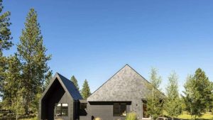 Read more about the article A black cladding house in Oregon blends in seamlessly with nature