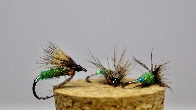 You are currently viewing Hidden Bead McKenzie Green Caddis Wet Fly Tying Video