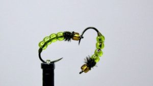 Read more about the article The Caddis Fly: Oregon Fly Fishing Blog