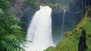 Read more about the article 20 Waterfalls in Oregon