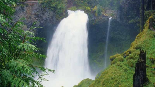 You are currently viewing 20 Waterfalls in Oregon