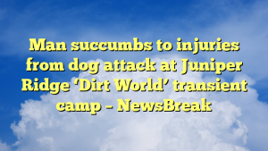 Read more about the article Man succumbs to injuries from dog attack at Juniper Ridge ‘Dirt World’ transient camp – NewsBreak