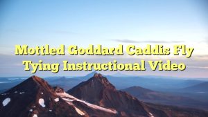 Read more about the article Mottled Goddard Caddis Fly Tying Instructional Video