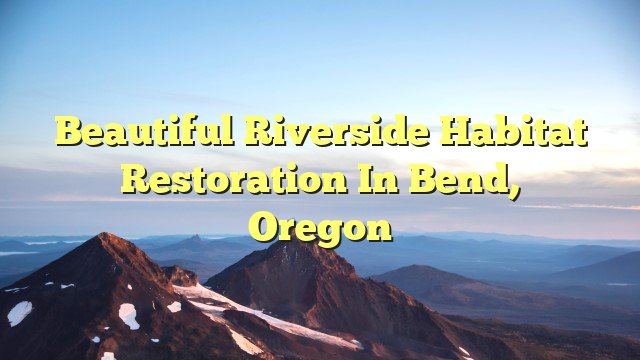 You are currently viewing Beautiful Riverside Habitat Restoration in Bend, Oregon