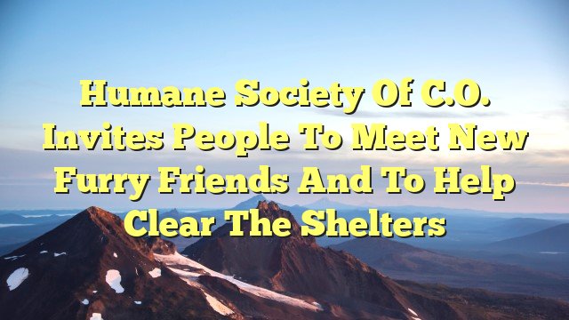 You are currently viewing Humane Society of C.O. invites people to meet new furry friends and to help Clear the Shelters