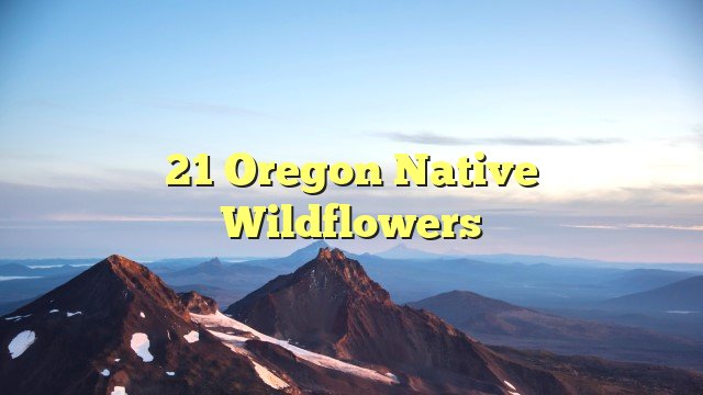 21 Oregon Native Wildflowers