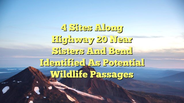 4 sites along Highway 20 near Sisters and Bend identified as potential wildlife passages