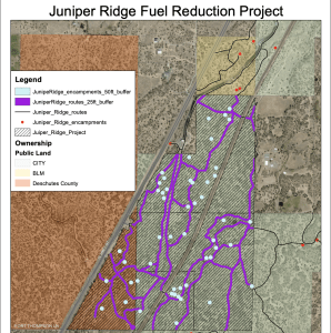 Deschutes County Seeks Grant To Reduce Fire Fuels In Juniper Ridge