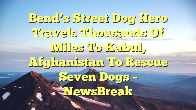 Bend’s Street Dog Hero travels thousands of miles to Kabul, Afghanistan to rescue seven dogs – NewsBreak