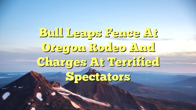 Bull leaps fence at Oregon rodeo and charges at terrified spectators