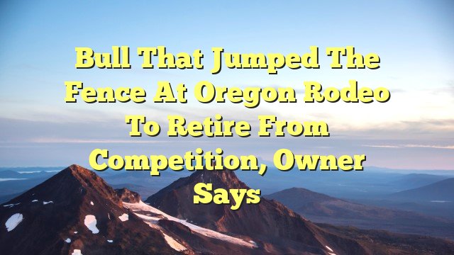 Bull that jumped the fence at Oregon rodeo to retire from competition, owner says