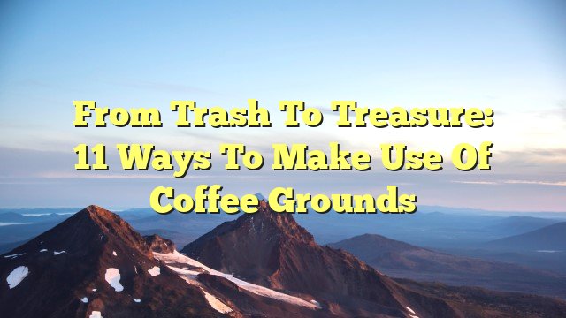 From Trash to Treasure: 11 Ways to Make Use of Coffee Grounds