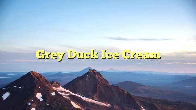 Grey Duck Ice Cream