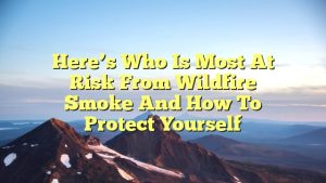 Here’s who is most at risk from wildfire smoke and how to protect yourself