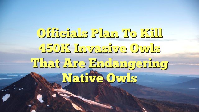 Officials plan to kill 450K invasive owls that are endangering native owls