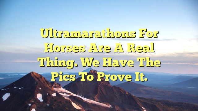 Ultramarathons for Horses Are a Real Thing. We Have the Pics to Prove It.