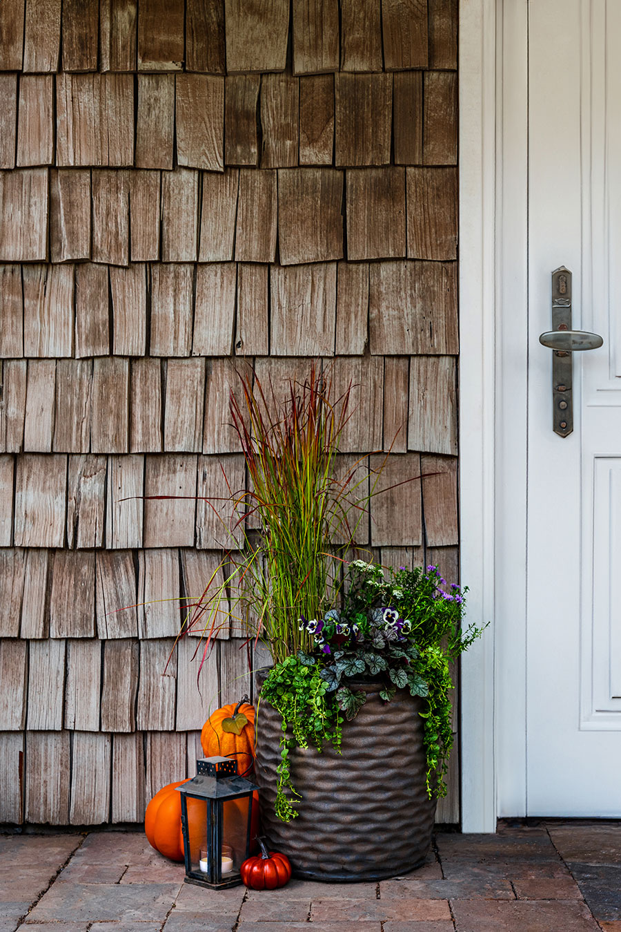 Welcome Autumn with Containers Full of Fall Colors