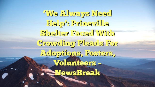 ‘We always need help’: Prineville shelter faced with crowding pleads for adoptions, fosters, volunteers – NewsBreak