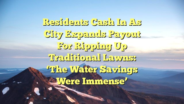 Residents cash in as city expands payout for ripping up traditional lawns: ‘The water savings were immense’